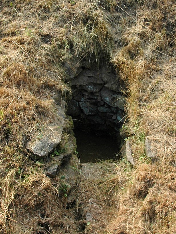 studánka U Moučků (8861) - červenec 2014