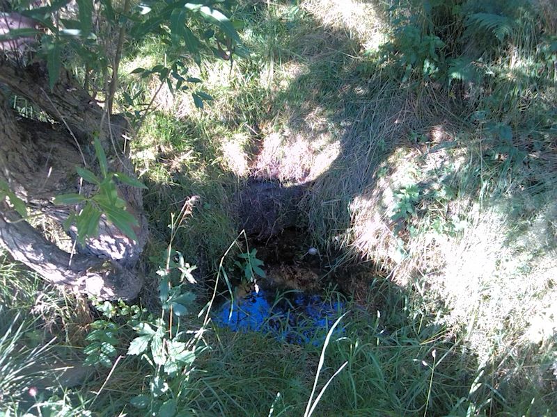 studánka Nad zatáčkou (8868) - červenec 2014