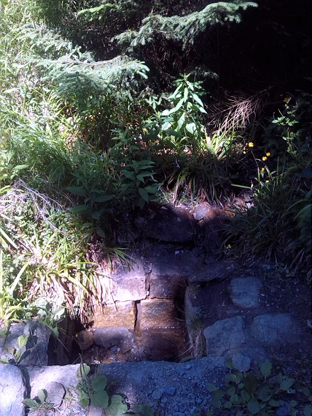 studánka Na žluté I (8876) - červenec 2014