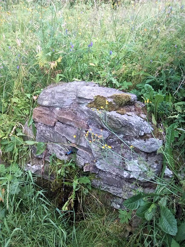 studánka U kostela (8879) - červenec 2014