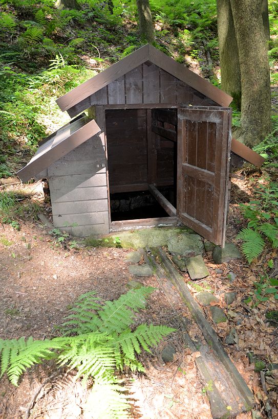 studánka Pětidomí (8888) - červenec 2014