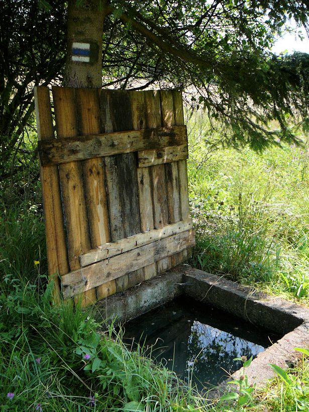 studánka Pod Hrachovičným (8906) - červenec 2014