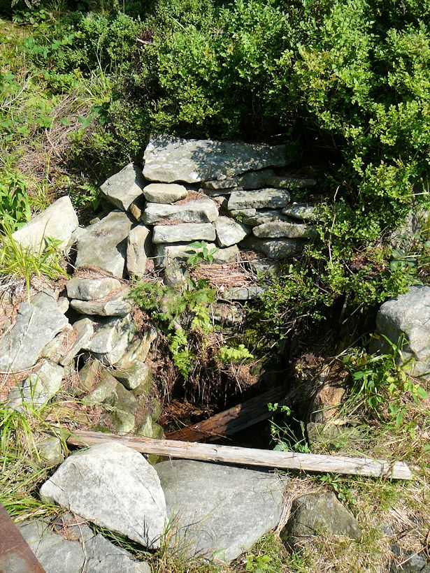 studánka U Kříže (8907) - červenec 2014