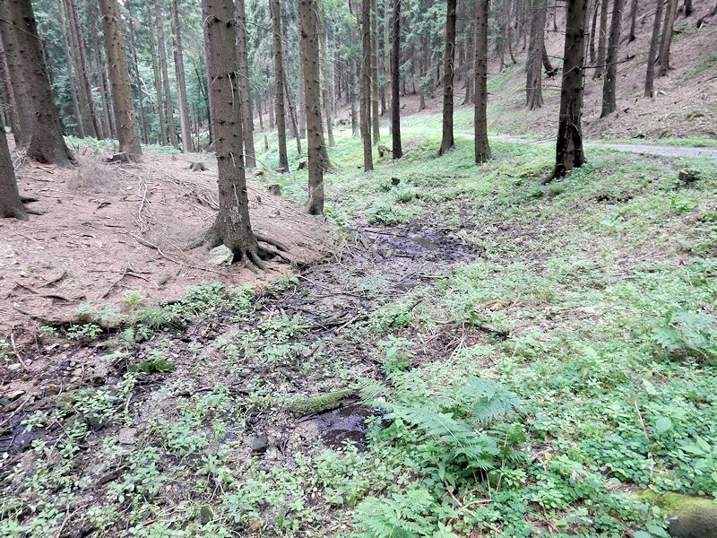 prameniště Stříbrný potok (8924) - červenec 2014