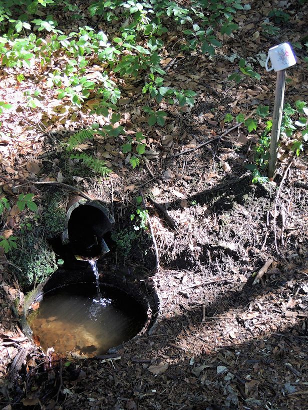 studánka bez jména (8928) - srpen 2014
