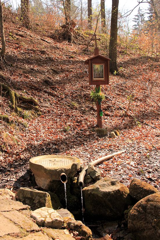 studánka V Brdském žlebě (8943) - srpen 2014
