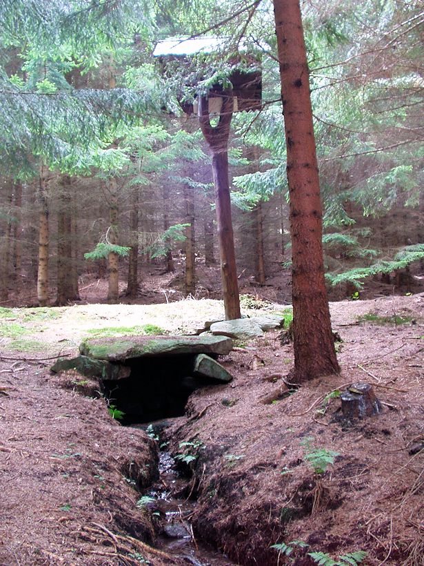 Sumrakovská studánka (8966) - srpen 2014