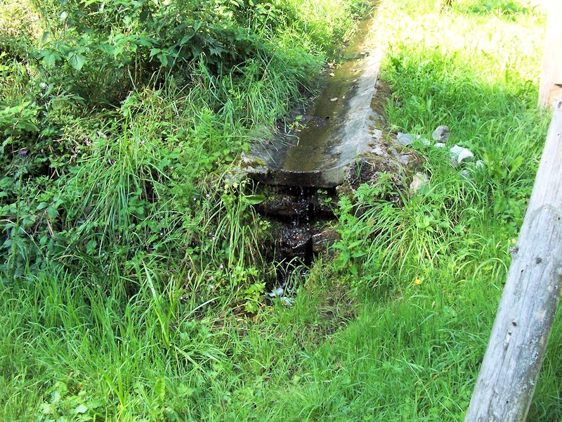 jiný vodní zdroj U ranče (8967) - srpen 2014