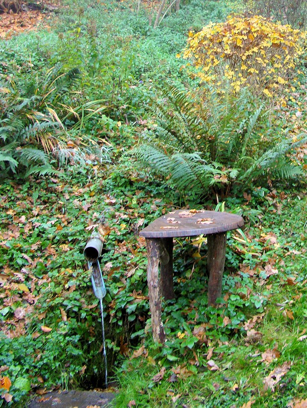 studánka bez jména (8971) - srpen 2014
