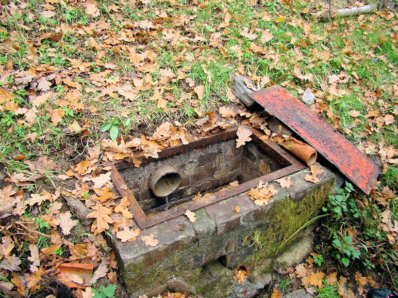 studánka bez jména (8977) - srpen 2014