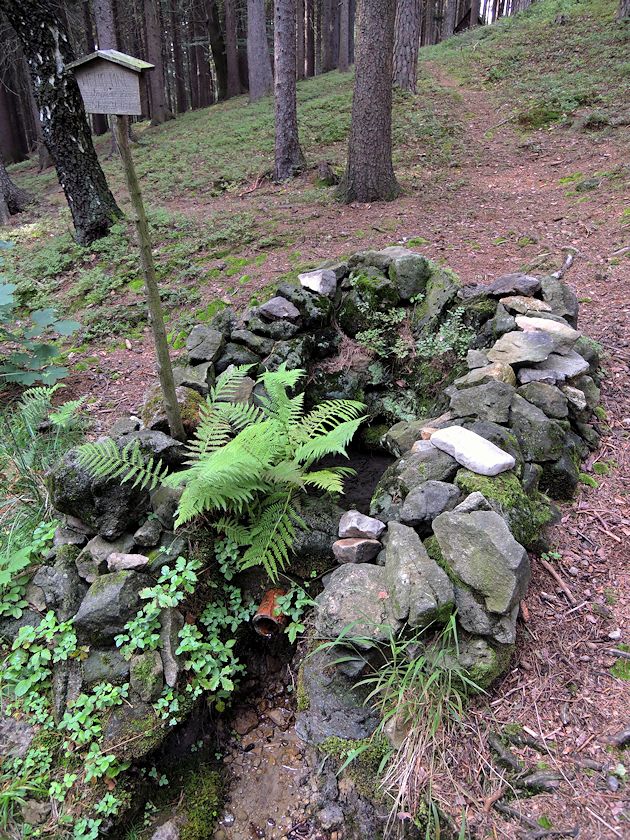 studánka Na Bystrém (8997) - srpen 2014
