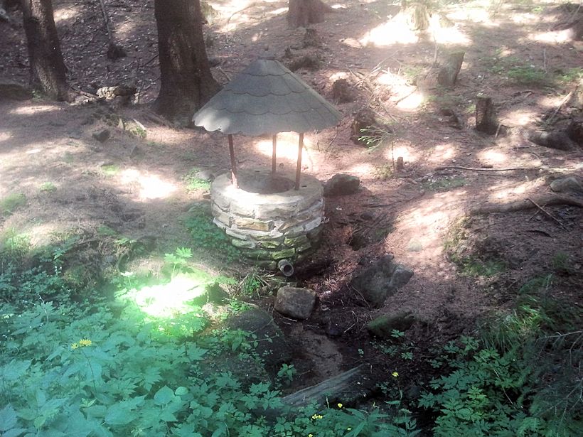 studánka Černobahenská studna (10006) - červenec 2015