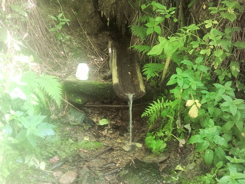 studánka Pořežín (10007) - červenec 2015