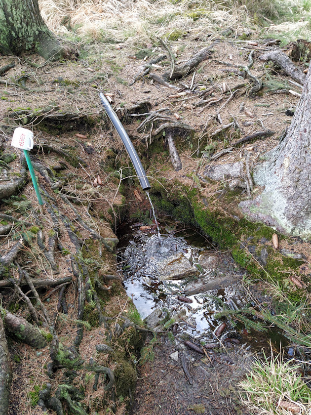 studánka Nad Bambouchem (10008) - duben 2022