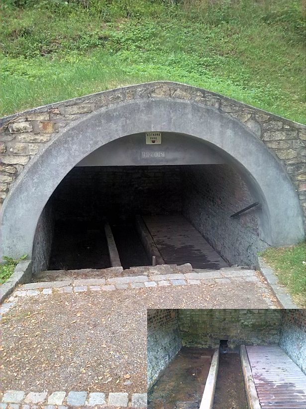 studánka V Jámě (10011) - červenec 2015