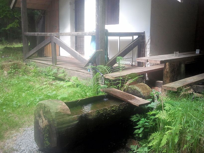 studánka Lesnická (10032) - červenec 2015