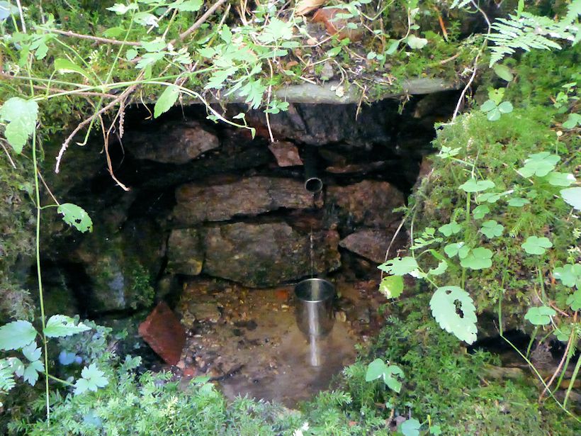 studánka Pod Pecnem (10039) - srpen 2015