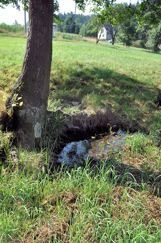 studánka Pod olší (10047) - srpen 2015