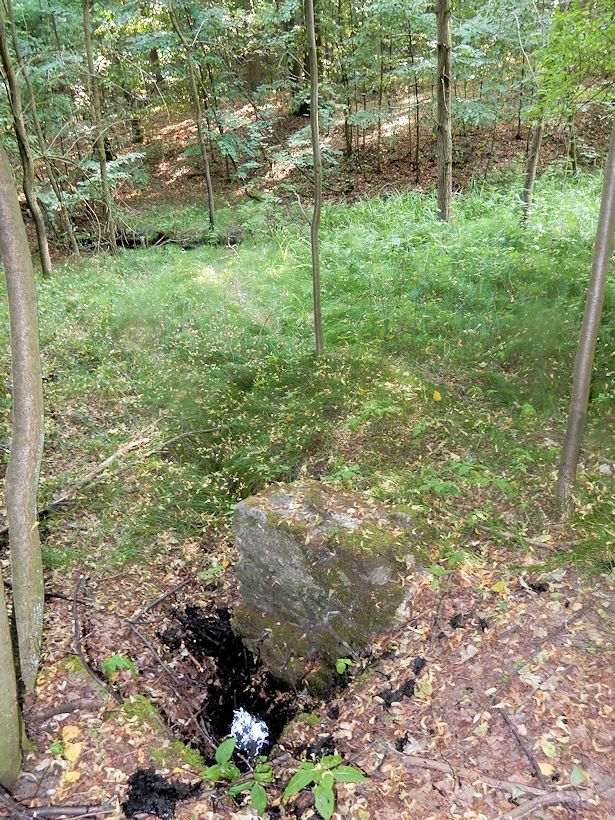 studánka U Jezírek (10058) - srpen 2015