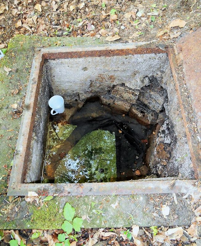 studánka U Polepilů (10060) - srpen 2015