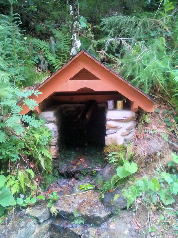 studánka bez jména (10085) - srpen 2015