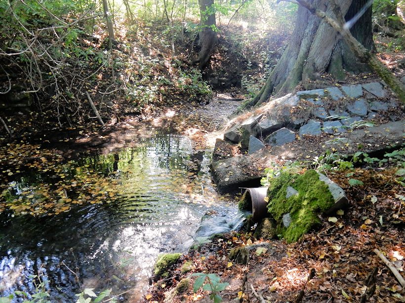 Morašický pramen 1 (10115) - září 2015