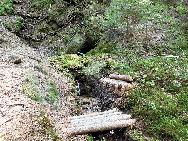 studánka V mechu a kapradí (10126) - září 2015