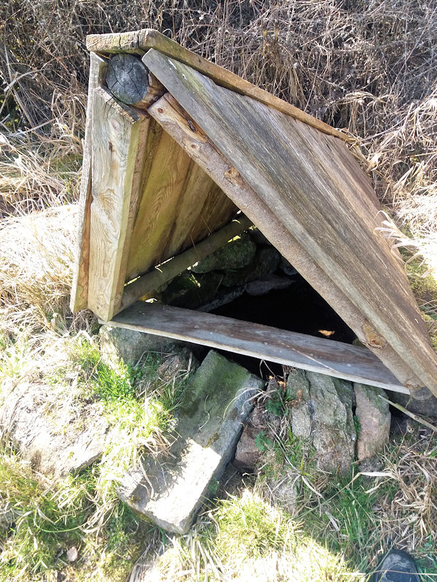 studánka Pod Křínovem (10138) - březen 2020