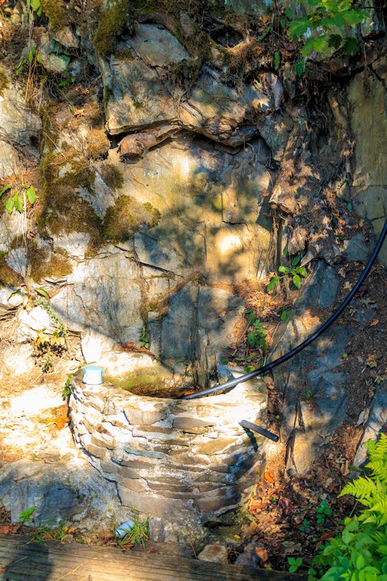 studánka U Jůlinčina údolí (10140) - září 2015