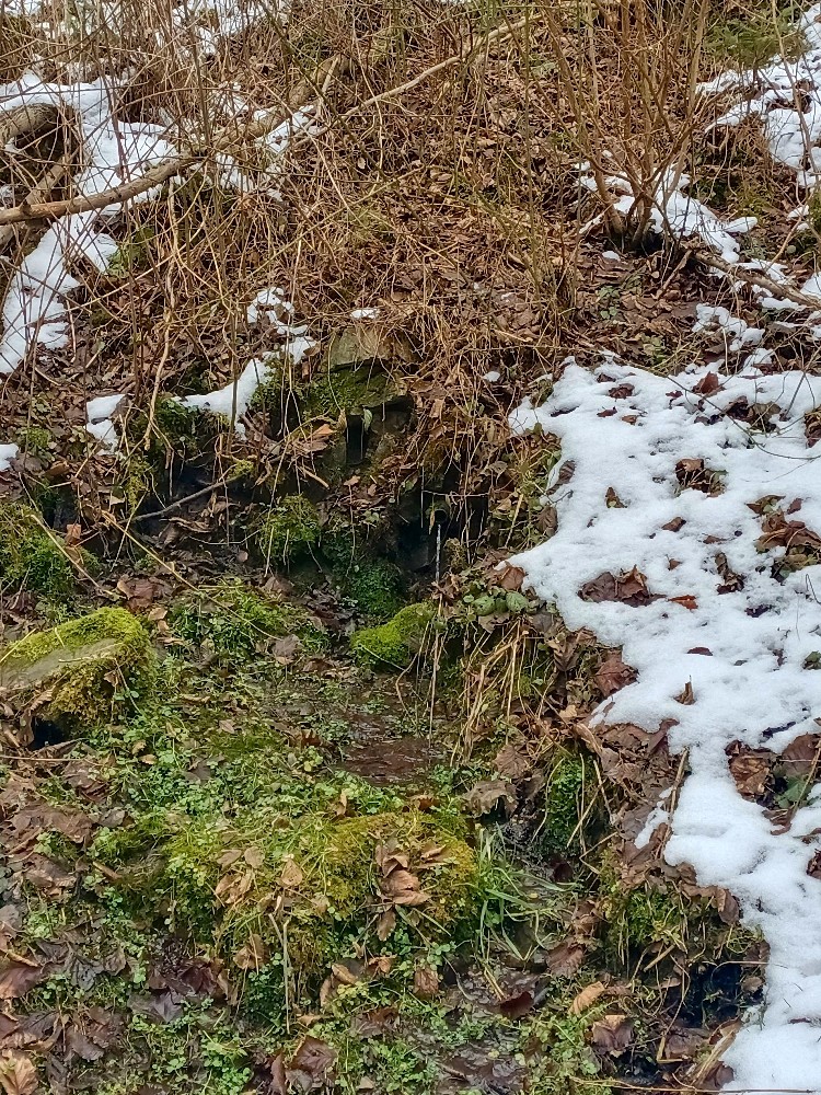 studánka Nad Korečnickým Mlýnem I (10153) - datum neznámé