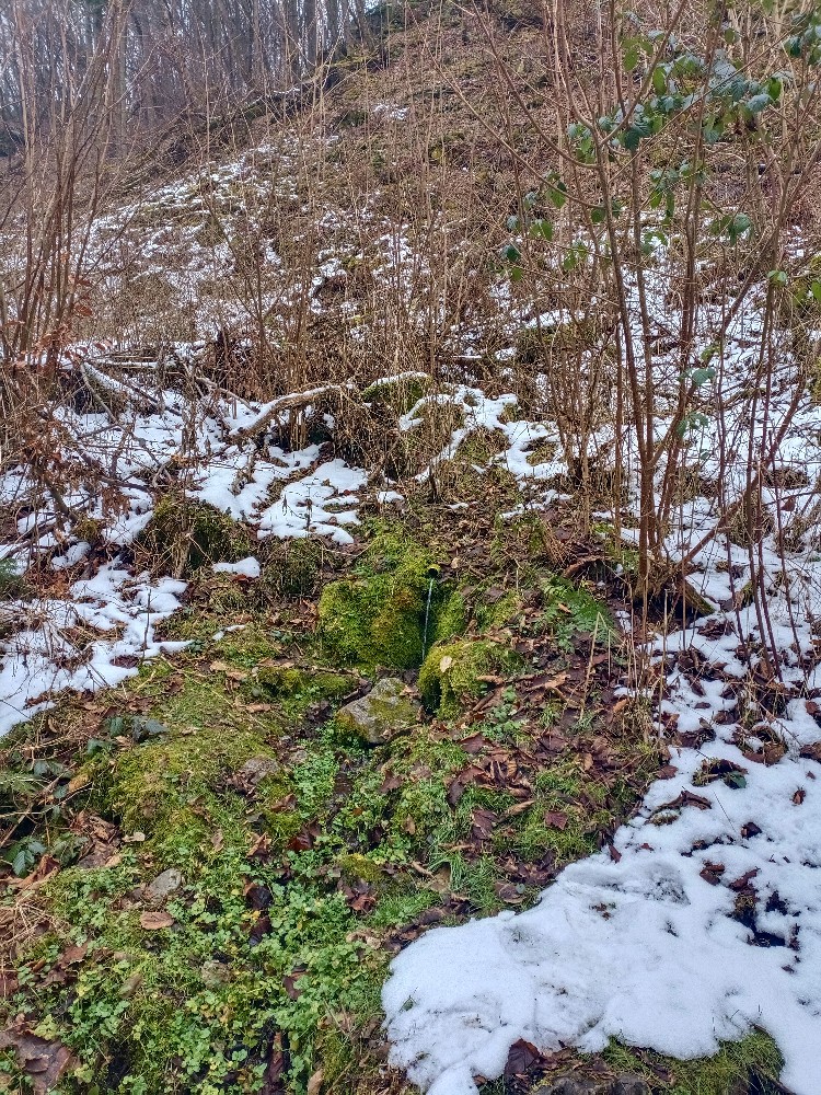 studánka Nad Korečnickým Mlýnem II (10154) - únor 2026