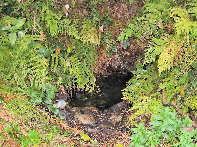 studánka U Čertovky 1 (10169) - říjen 2015