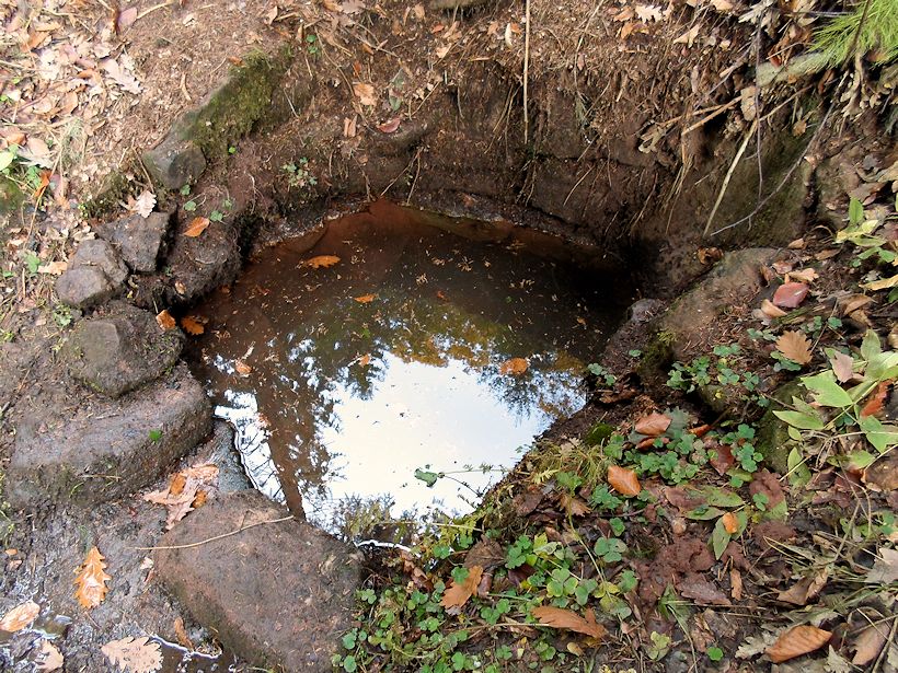 studánka Pod Homolí (10189) - říjen 2015