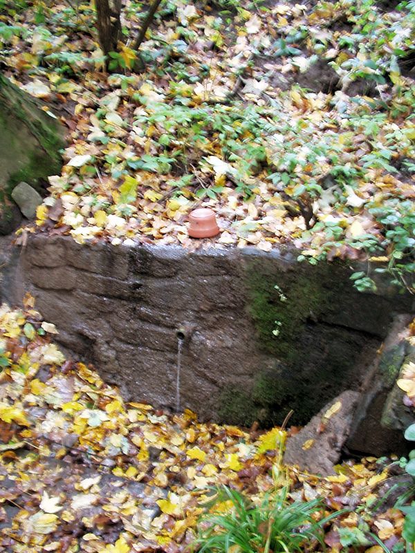 studánka Pod Malýma (10191) - říjen 2015