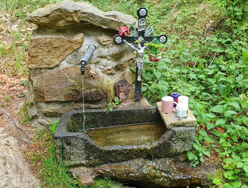 studánka U Dvou Šraňků (10196) - květen 2024