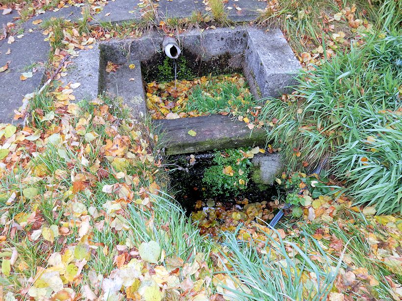 studánka Stírka (10234) - listopad 2015