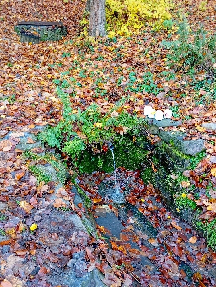 Javorová studánka  (10245) - listopad 2025