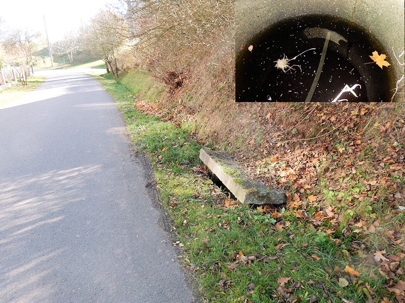 studánka U silnice (10255) - listopad 2015