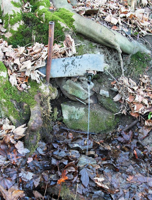 studánka V Kotlině (10265) - prosinec 2015