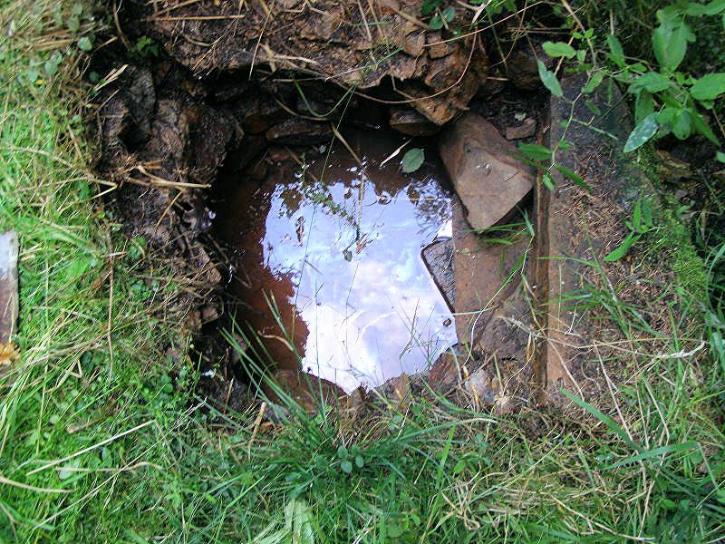 studánka Kosovská (10332) - leden 2016