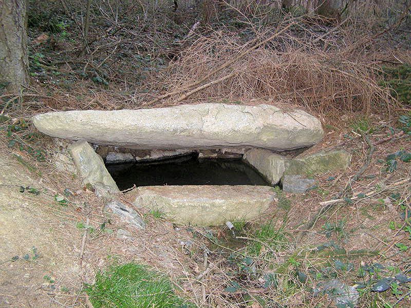 studánka U Jarmilky (10337) - leden 2016