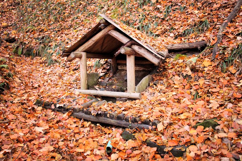 studánka bez jména (10346) - leden 2016