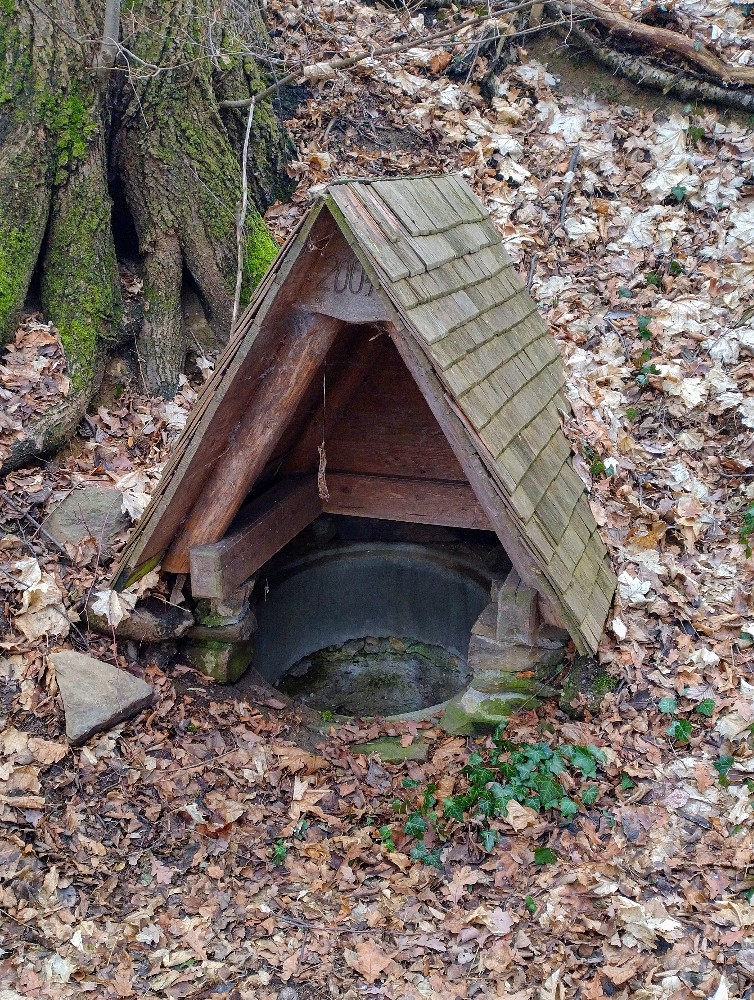 studánka Pod sopkou (10349) - únor 2026