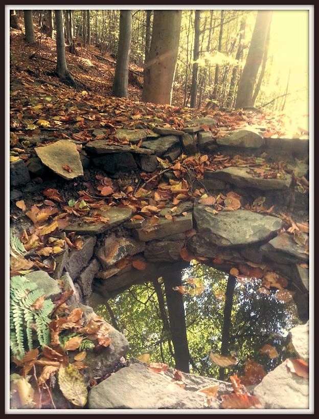 studánka Liduščiny studánky (10394) - říjen 2015