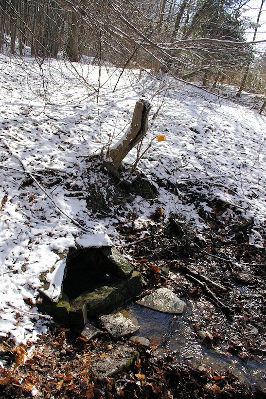 studánka Narozeninová (10398) - únor 2016