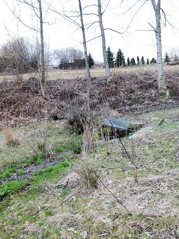 studánka Pod vsí (10412) - únor 2016