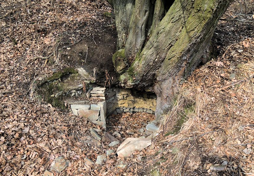 studánka V důlku (10414) - únor 2016