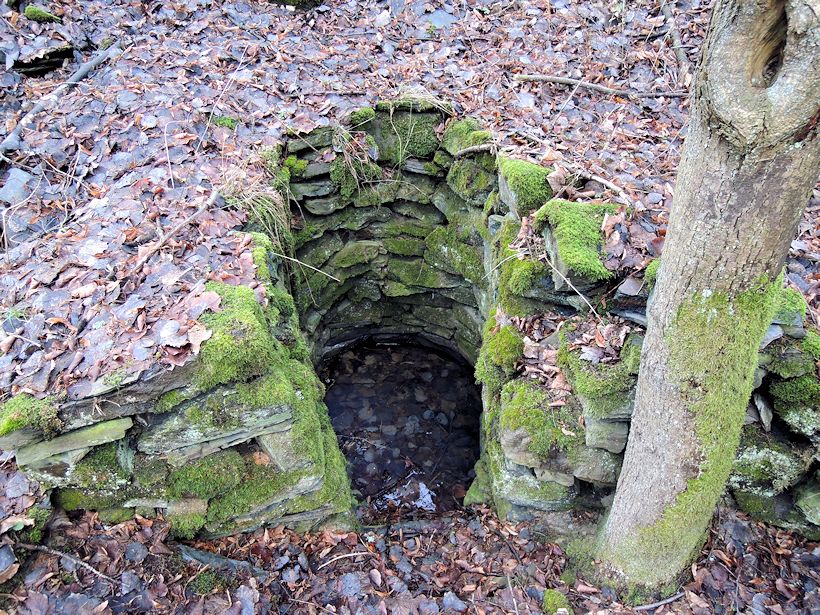studánka Kerhartice I (10415) - únor 2016