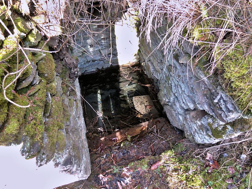 studánka Kerhartice II (10416) - únor 2016