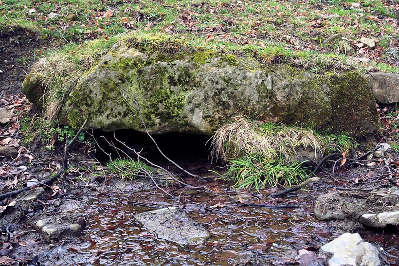 studánka Na Páleniskách (10420) - únor 2016